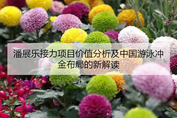 潘展乐接力项目价值分析及中国游泳冲金布局的新解读